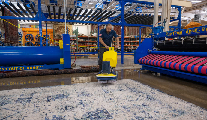 Professional cleaning area rug using equipment