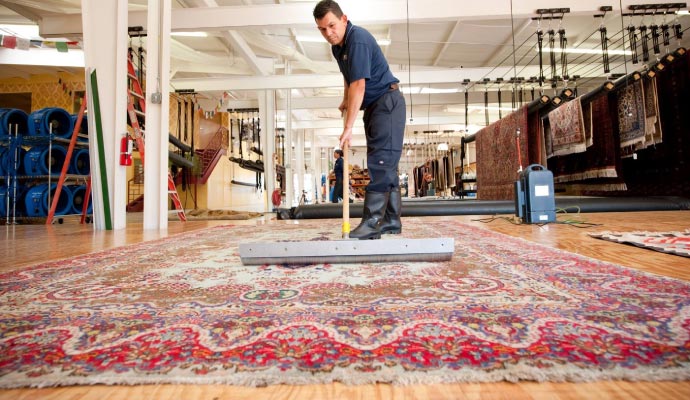 Expert cleaning rug using equipment.