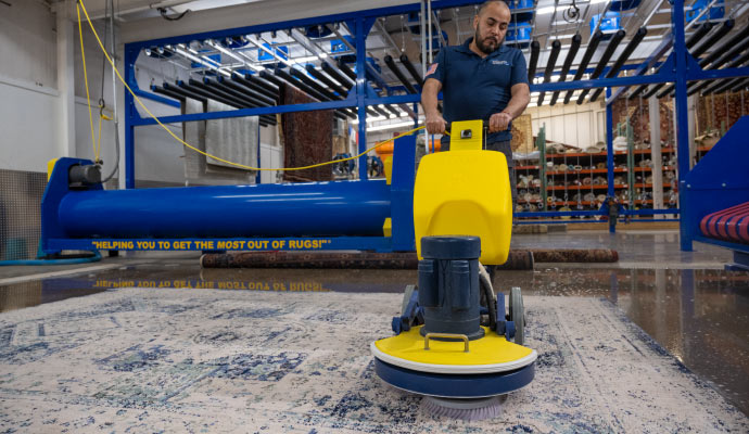  an individual operating a commercial rug cleaning machine to clean a rug