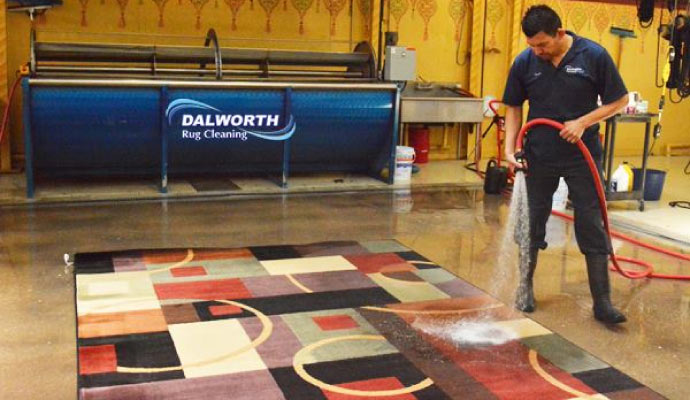 Expert worker cleaning a rug