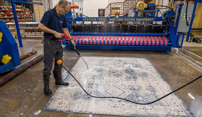 a professional cleaning rug with professional equipment