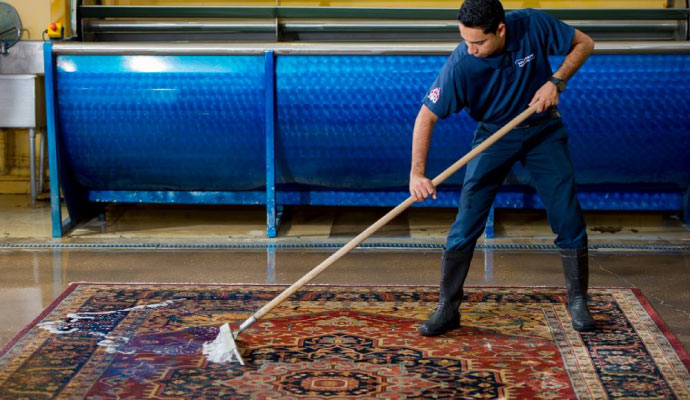 Professional area rug cleaning