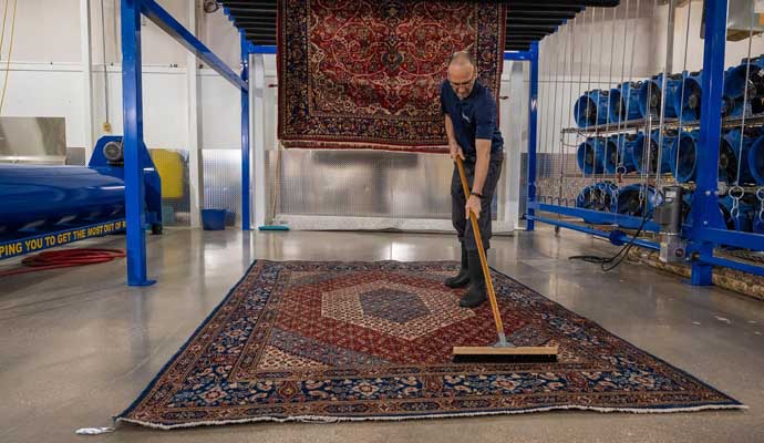 Professional area rug cleaning