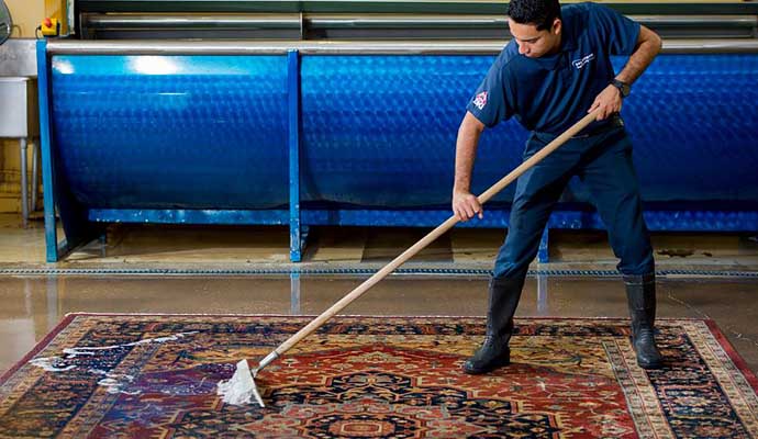 Professional rug treatment by Dalworth Rug Cleaning