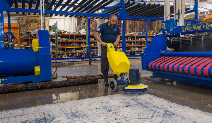 Expert cleaning area rug.