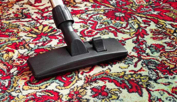 Professional rug cleaning using vacuum.