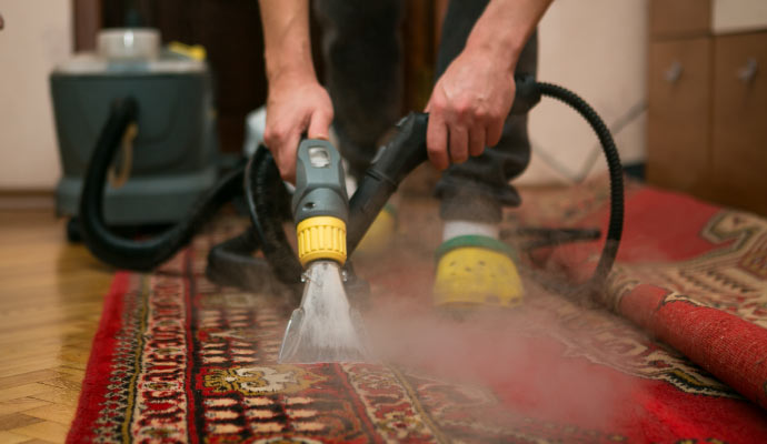 Rug steam cleaning.