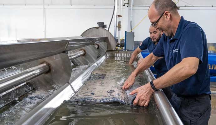 Oriental rug deep cleaning